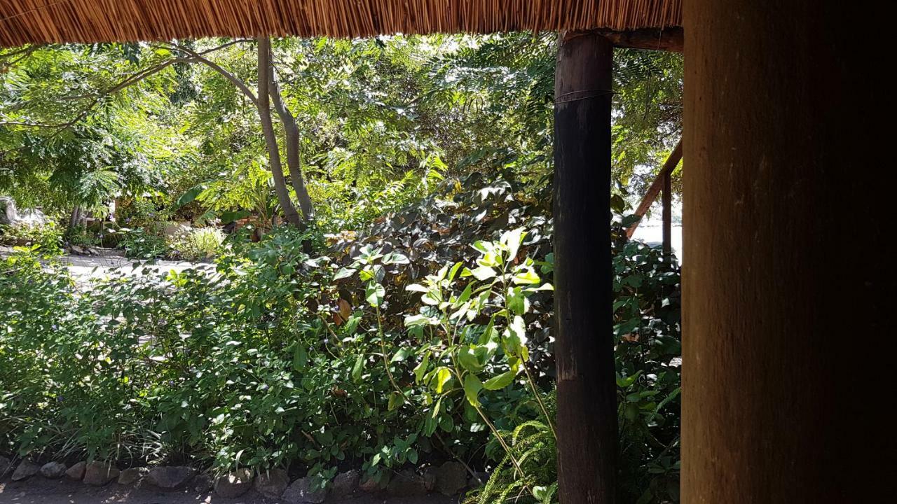 Mufasa Eco Lodge Monkey Bay Zewnętrze zdjęcie